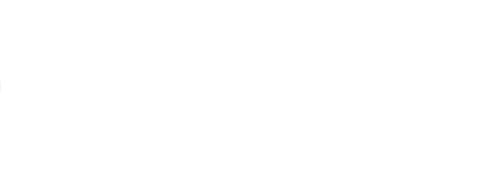 CivicHorizon — Policy Guidance for Government
