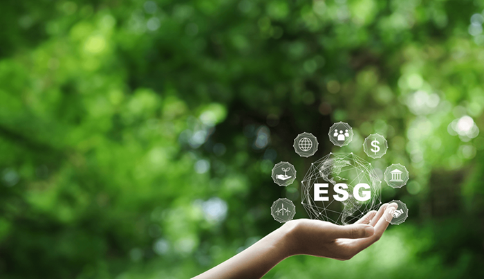 A hand holding a digital hologram of ESG (environmental, social, and governance) icons, set against a lush green forest background.
