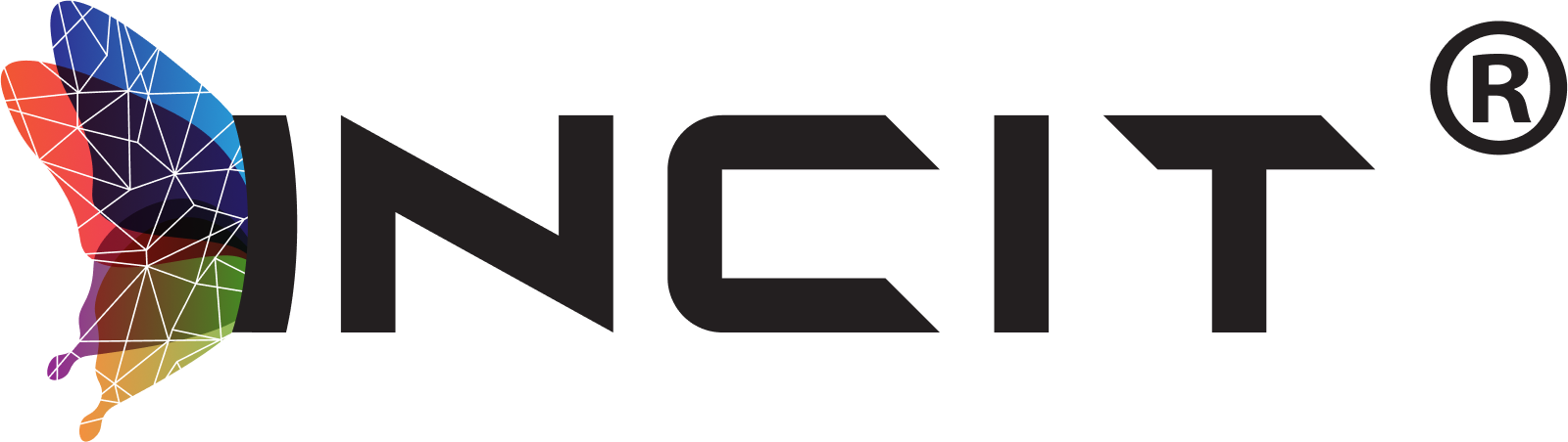 The image features a logo with a colorful geometric butterfly on the left and the word "INCIT®" in bold black letters on the right.