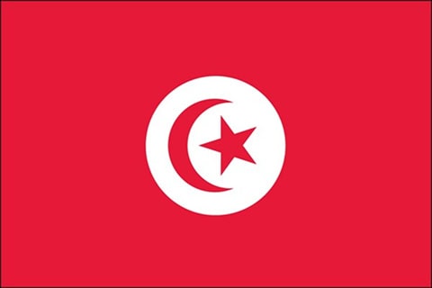 Tunisa  country flag
