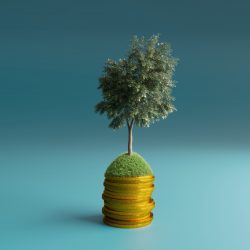 A tree growing on a stack of coins.